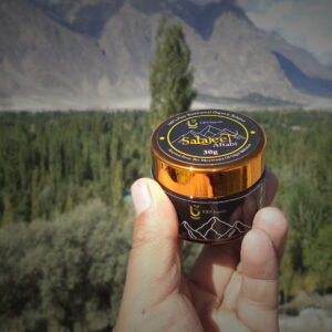 Salajeet Aftabi – Pure Himalayan Energy Booster